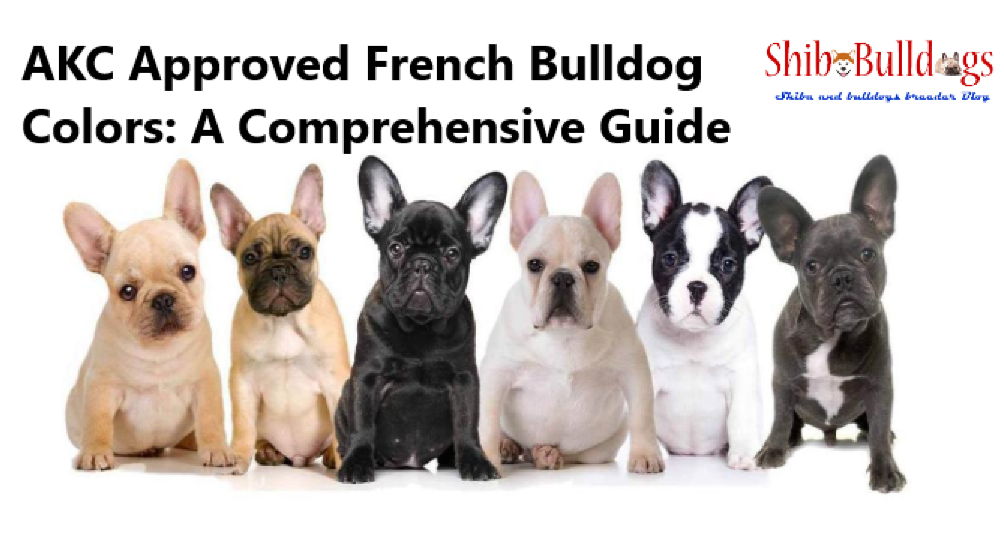 AKC Approved French Bulldog Colors: A Comprehensive Guide ...