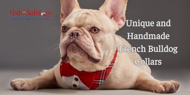 Unique and Handmade French Bulldog Collars - ShibaBulldogs.com - Shiba ...